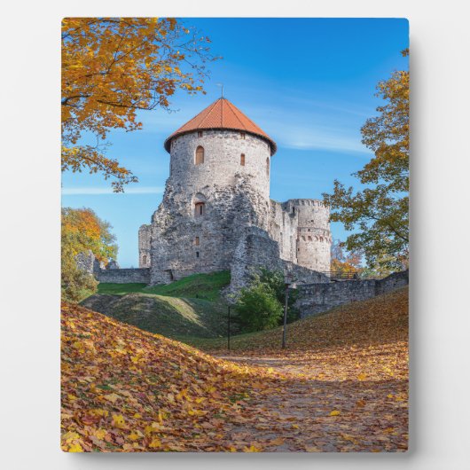 Mittelalterliche Burg umgeben von Wäldern Fotoplatte (Vorderseite)
