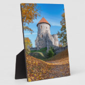 Mittelalterliche Burg umgeben von Wäldern Fotoplatte (Seite)