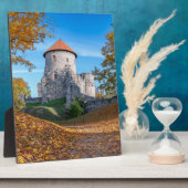 Mittelalterliche Burg umgeben von Wäldern Fotoplatte (Seite)