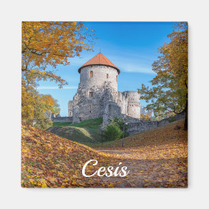 Mittelalterliche Burg umgeben von Wäldern Magnet