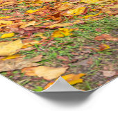 Mittelalterliche Burg umgeben von Wäldern Poster (Ecke)