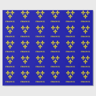 Mittelalterliche französische königliche Standarte Geschenkpapier