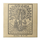 Mittelalterlicher Baum der Wissenschaften Fliese (Vorderseite)