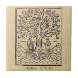 Mittelalterlicher Baum der Wissenschaften Fliese