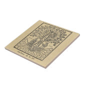 Mittelalterlicher Baum der Wissenschaften Fliese (Seite)