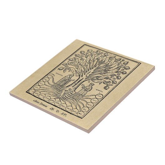 Mittelalterlicher Baum der Wissenschaften Fliese (Seite)