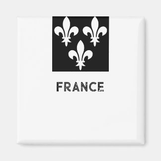 Mittelalterlicher Heraldik-Druck aus Frankreich Mo Magnet
