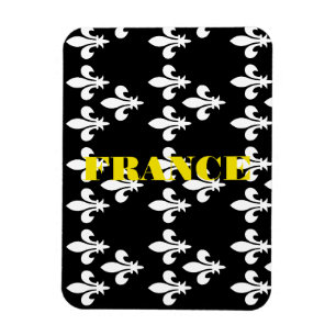 Mittelalterlicher Heraldik-Druck aus Frankreich Mo Magnet