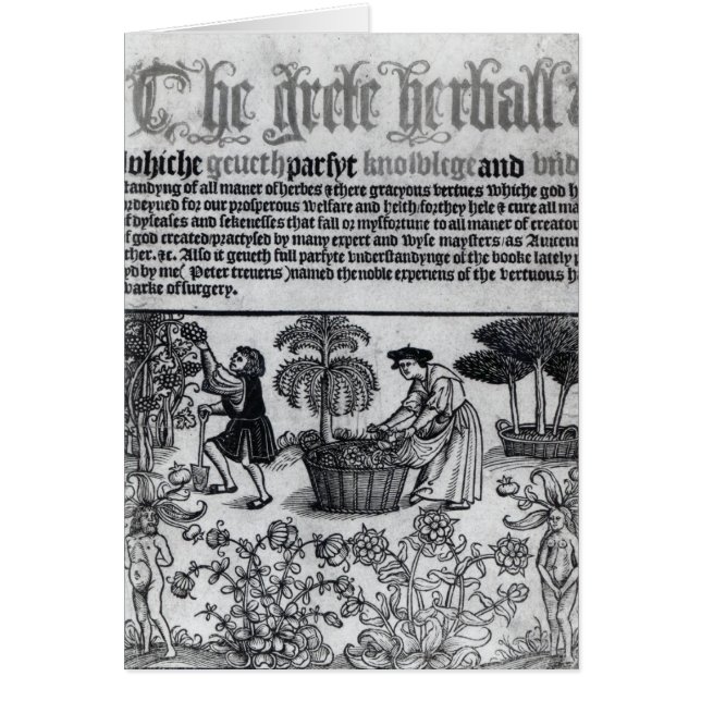 Mittelalterlicher Kräutergarten (Vorne)