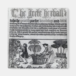 Mittelalterlicher Kräutergarten Magnet