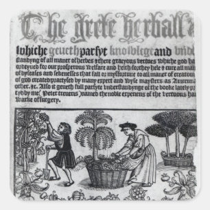Mittelalterlicher Kräutergarten Quadratischer Aufkleber