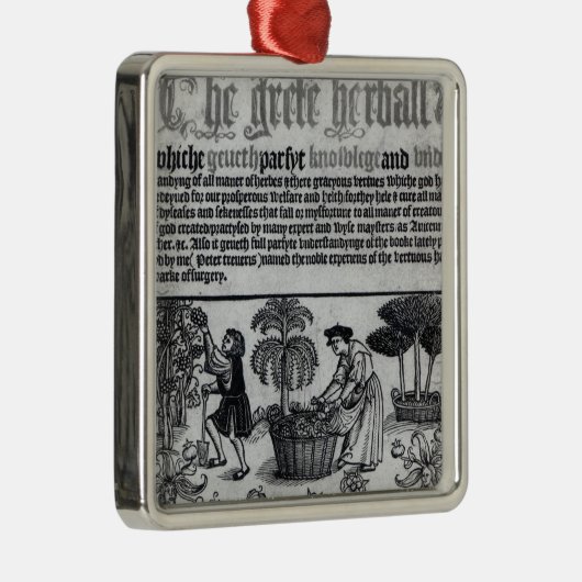 Mittelalterlicher Kräutergarten Silbernes Ornament (Rechts)