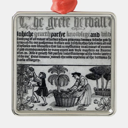 Mittelalterlicher Kräutergarten Silbernes Ornament (Vorne)