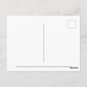 Mittelalterlicher Ritter mit Gans auf seinem Kopf Postkarte (Rückseite)