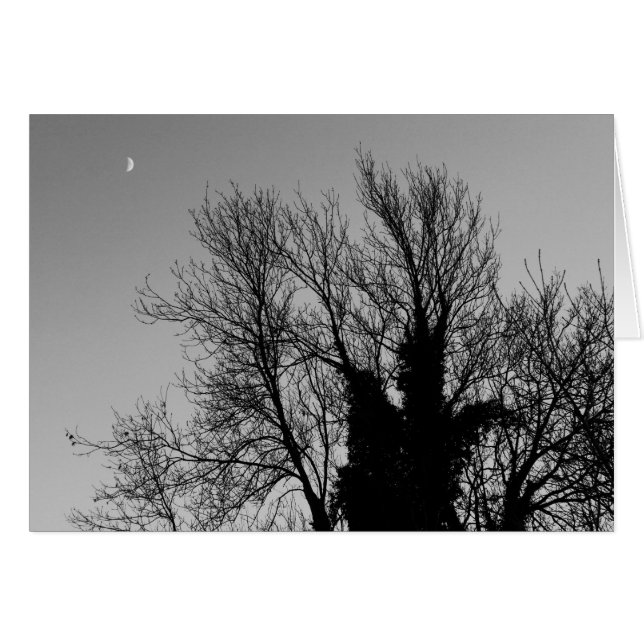 Mittelalterlicher Winternachmittag (Vorderseite (Horizontal))