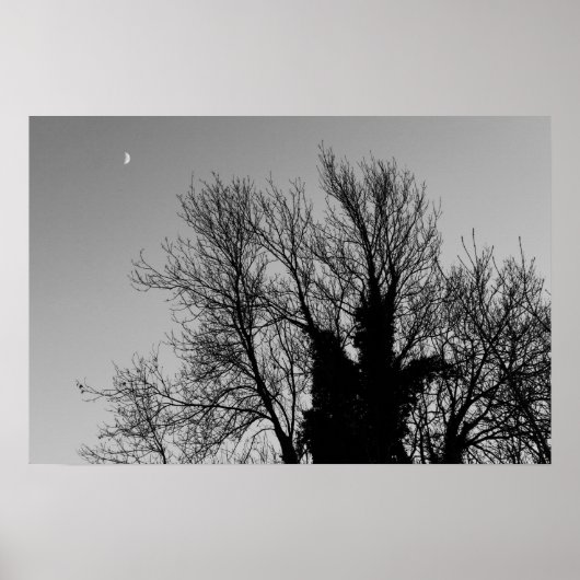 Mittelalterlicher Winternachmittag Poster (Vorne)