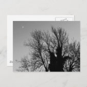 Mittelalterlicher Winternachmittag Postkarte (Vorne/Hinten)