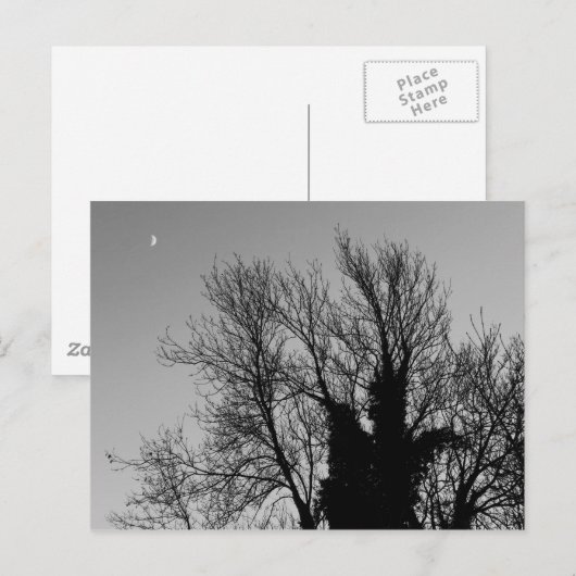 Mittelalterlicher Winternachmittag Postkarte (Vorne/Hinten)