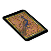 Mittelalterliches Bestiarium Pfau c. 1270 Magnet (Rechte Seite)