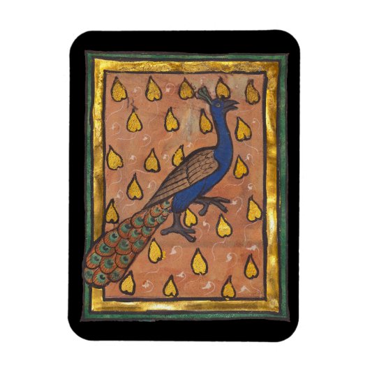 Mittelalterliches Bestiarium Pfau c. 1270 Magnet (Vertikal)