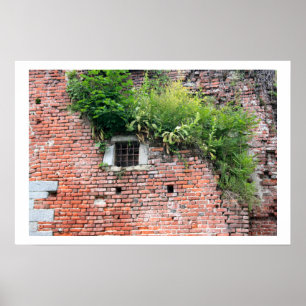 Mittelalterliches Fenster-Detail Poster