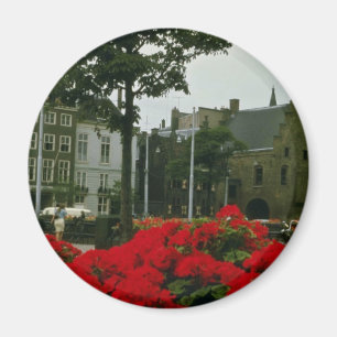 Mittelalterliches Gefängnis in Den Haag Blumen Magnet