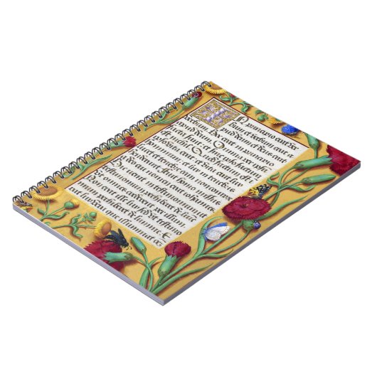 Mittelalterliches Illuminiertes Manuskript Gospel  Notizblock (Linke Seite)