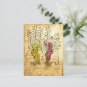 Mittelalterliches Kräutermanuskript, echtes Foto P Postkarte (Stehend Vorderseite)