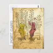 Mittelalterliches Kräutermanuskript, echtes Foto P Postkarte (Vorne/Hinten)