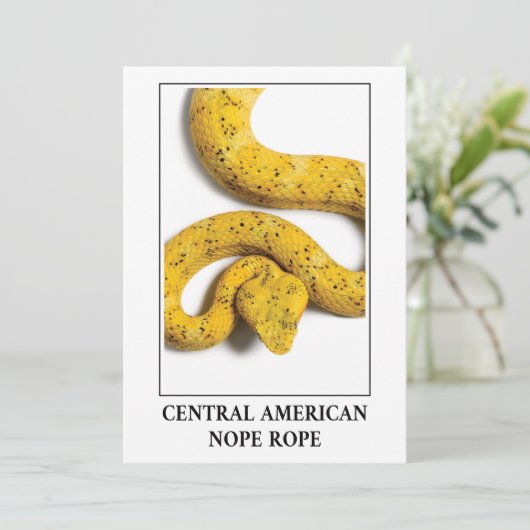 Mittelamerikanischer Papagei - Gefahr durch Viper Einladung (Stehend Vorderseite)