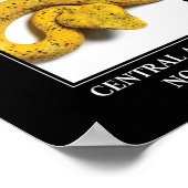 Mittelamerikanischer Papagei - Gefahr durch Viper  Poster (Ecke)