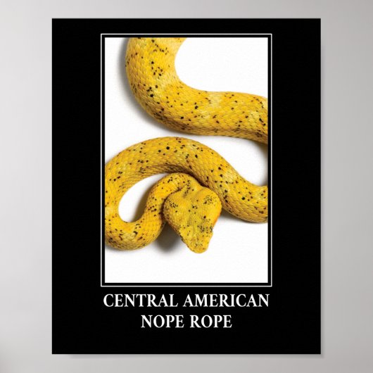 Mittelamerikanischer Papagei - Gefahr durch Viper  Poster (Vorne)