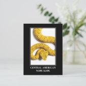 Mittelamerikanischer Papagei - Gefahr durch Viper Postkarte (Stehend Vorderseite)