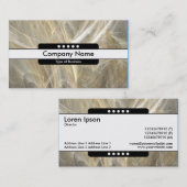 Mittelband 5 Spots - Fraktal Flame Visitenkarte (Vorne/Hinten)