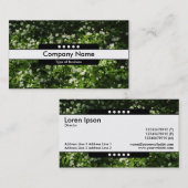 Mittelband 5 Spots - frei Knoblauch Visitenkarte (Vorne/Hinten)