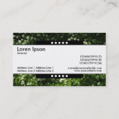 Mittelband 5 Spots - frei Knoblauch Visitenkarte (Rückseite)