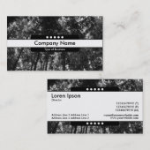 Mittelband 5 Spots - Holzkanopie 0 Visitenkarte (Vorne/Hinten)