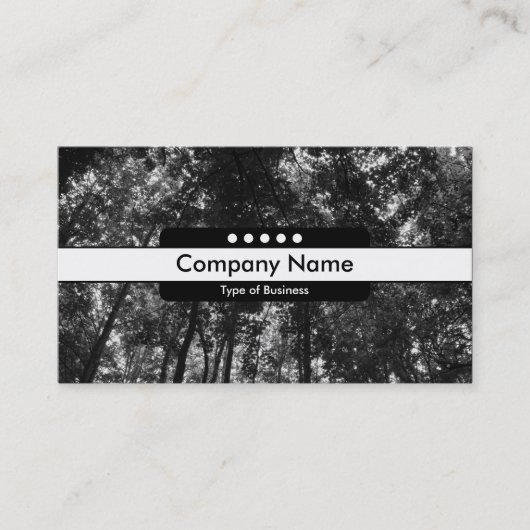 Mittelband 5 Spots - Holzkanopie 0 Visitenkarte (Vorderseite)