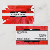 Mittelband 5 Spots Visitenkarte (Vorne/Hinten)