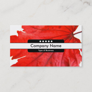 Mittelband 5 Spots Visitenkarte