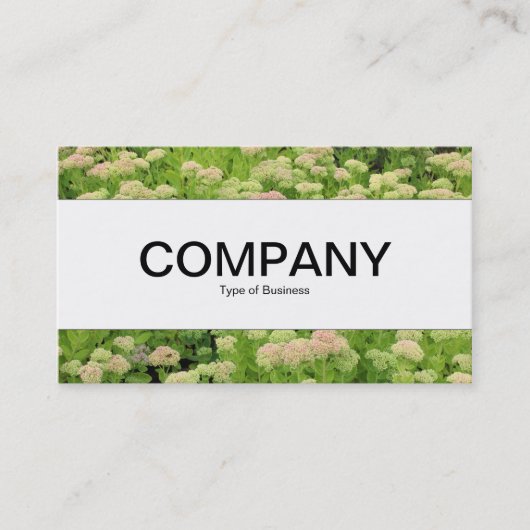 Mittelband - Beilage (Herbstfreude) Visitenkarte (Vorderseite)