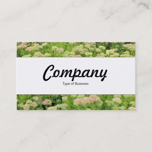 Mittelband - Beilage (Herbstfreude) Visitenkarte (Vorderseite)