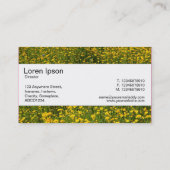 Mittelband - Bett aus gelben Milchsorten Visitenkarte (Rückseite)