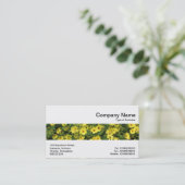Mittelband - Gelbe Milchsorten Visitenkarte (Stehend Vorderseite)