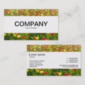 Mittelband - Meer der Tulipen II Visitenkarte (Vorne/Hinten)