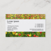 Mittelband - Meer der Tulipen II Visitenkarte (Rückseite)