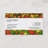 Mittelband - Meer der Tulipen III Visitenkarte (Rückseite)