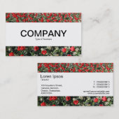 Mittelband - Rote Tulips und Primrosen Visitenkarte (Vorne/Hinten)