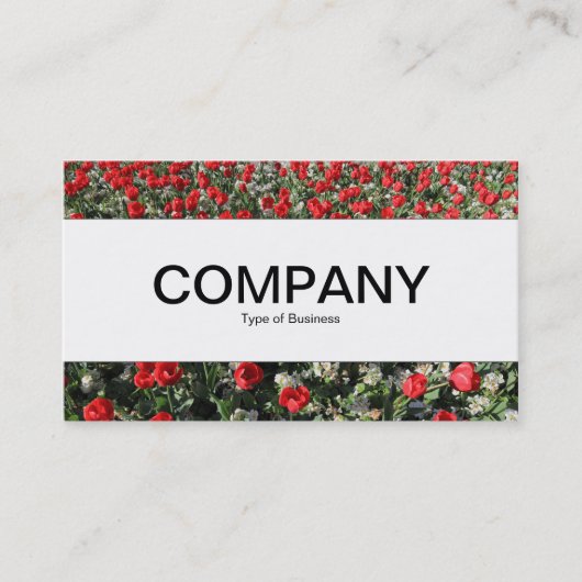 Mittelband - Rote Tulips und Primrosen Visitenkarte (Vorderseite)