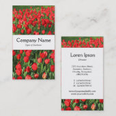 Mittelband - Rote Tulips Visitenkarte (Vorne/Hinten)